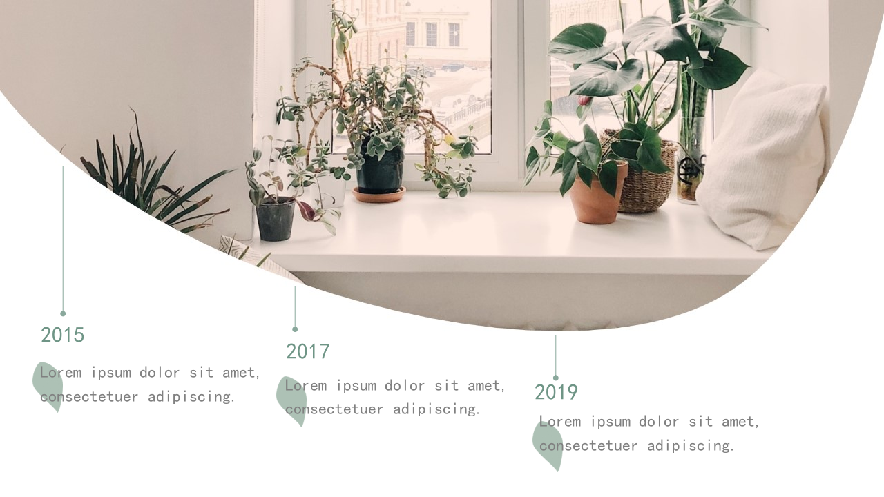 简约清新植物文艺总结汇报ppt模板第8页