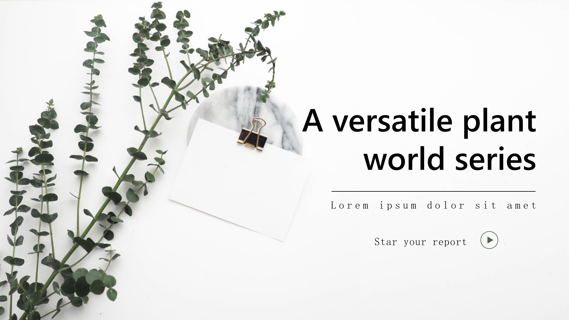 简约清新植物文艺总结汇报ppt模板.pptx 第1页