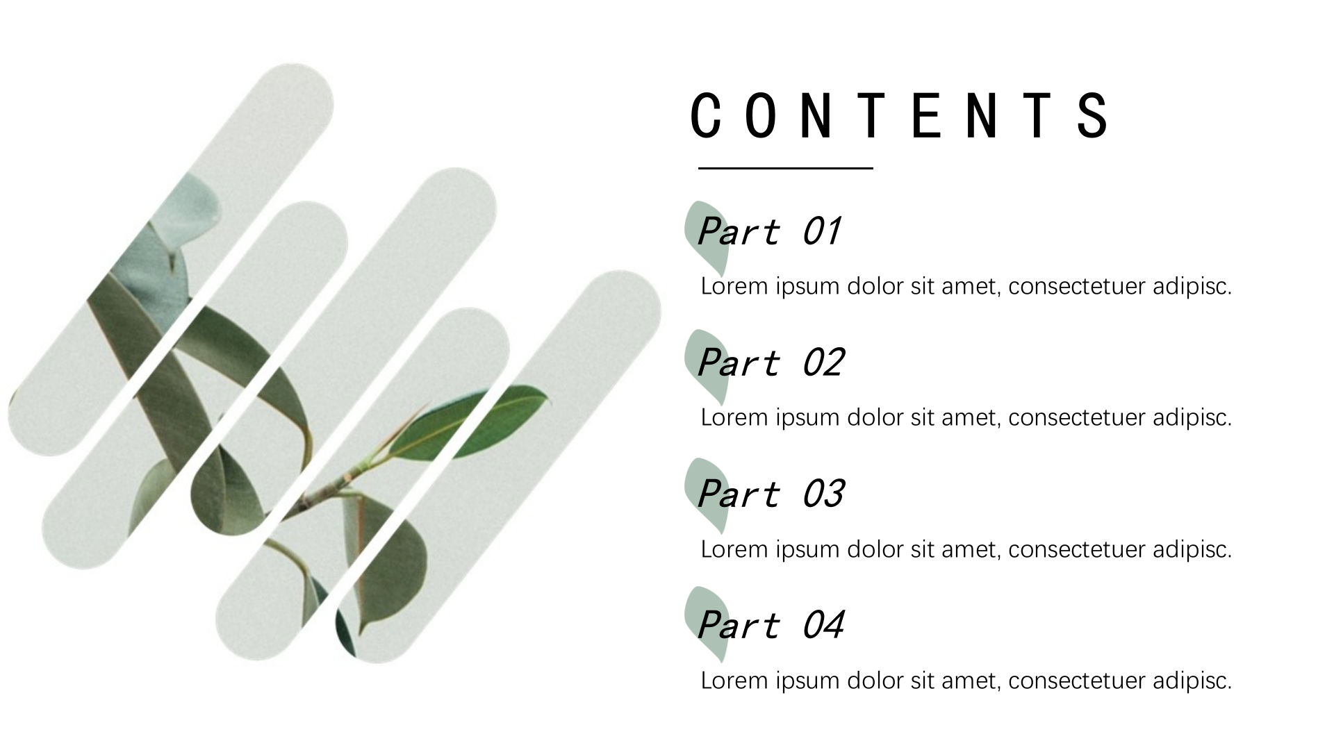 简约清新植物文艺总结汇报ppt模板.pptx 第2页